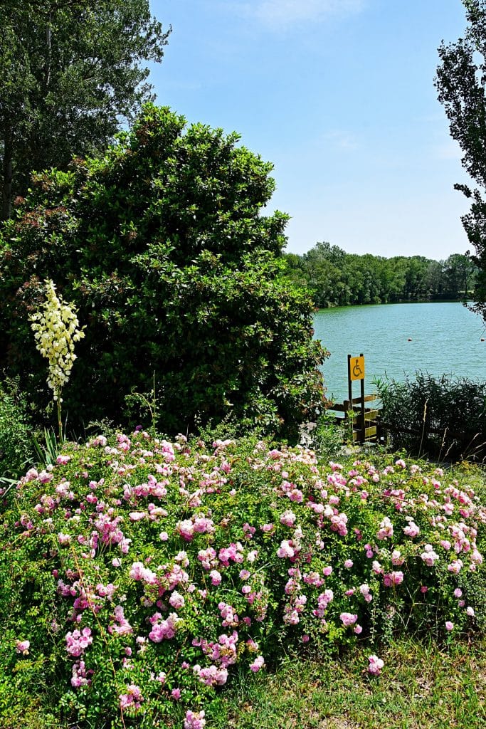 lakeside campsite nature ardèche