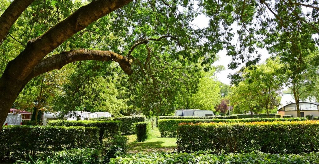 emplacement nature Ardèche camping