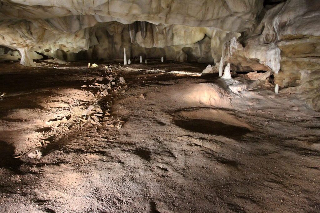 Innenansicht der Chauvet-Höhle 2 - Camping in der Ardèche - Harmony